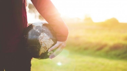 2025Żű桷:¸ߣOPT21%Ҷô