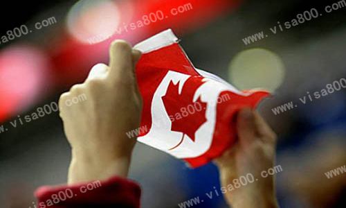 ���ô�Ͷ����������