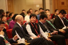 I Fei Chang̵غزͶʵս