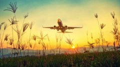 25ŷŷ˺ѡգǩŷ++Уֱͨ